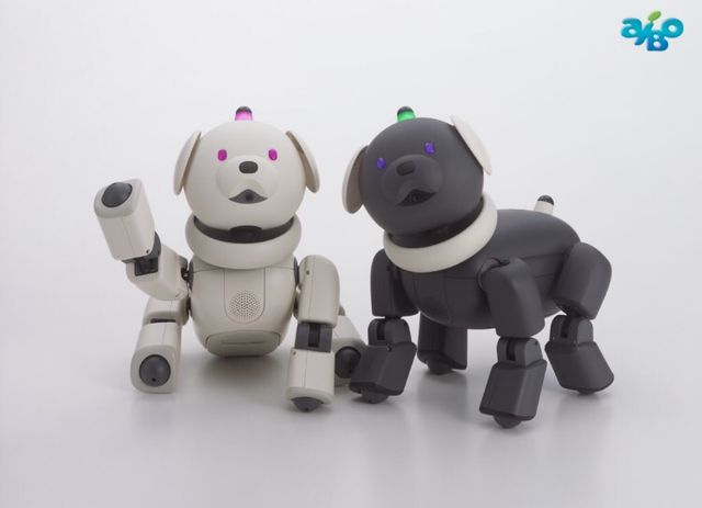 Cão robô Aibo Sony ers 311 312
