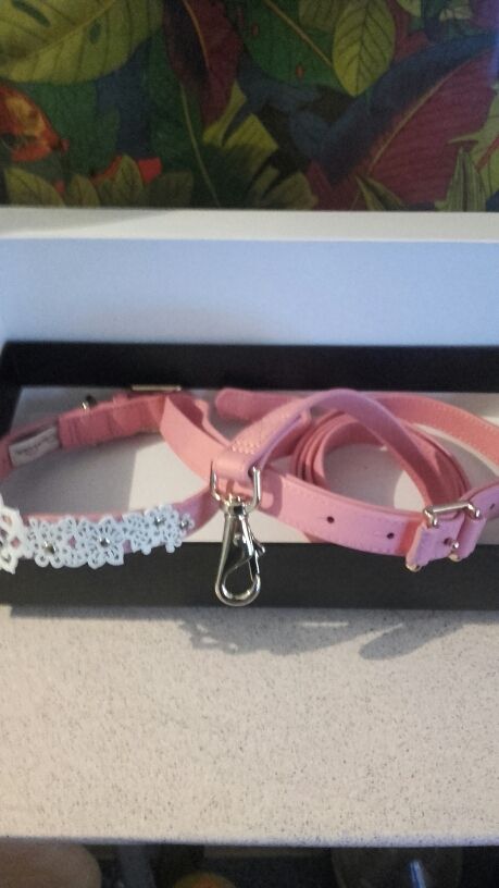 CORREA Y COLLAR DE FIRMA