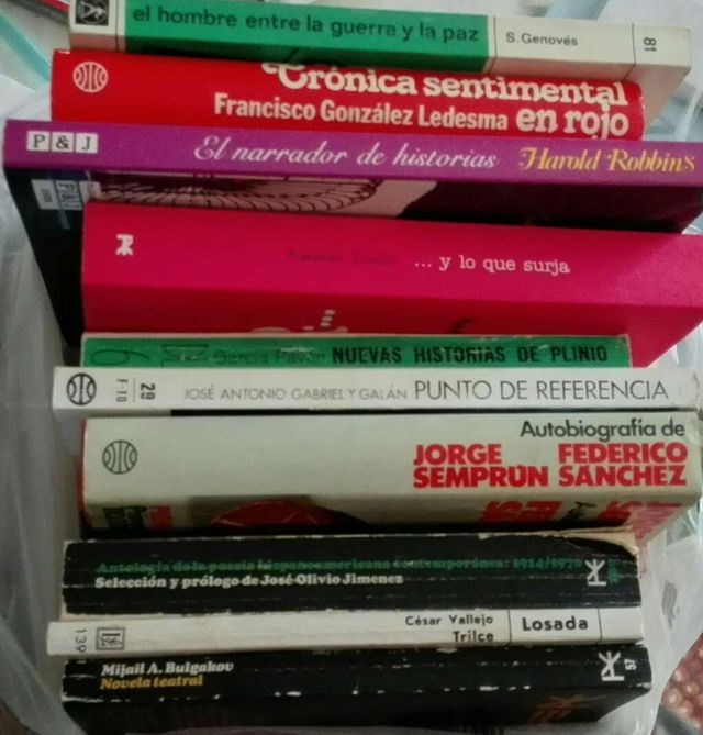 Variados. Lote libros