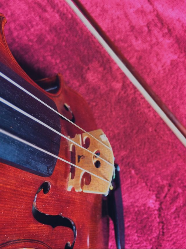 Violín Profesional Antiguo