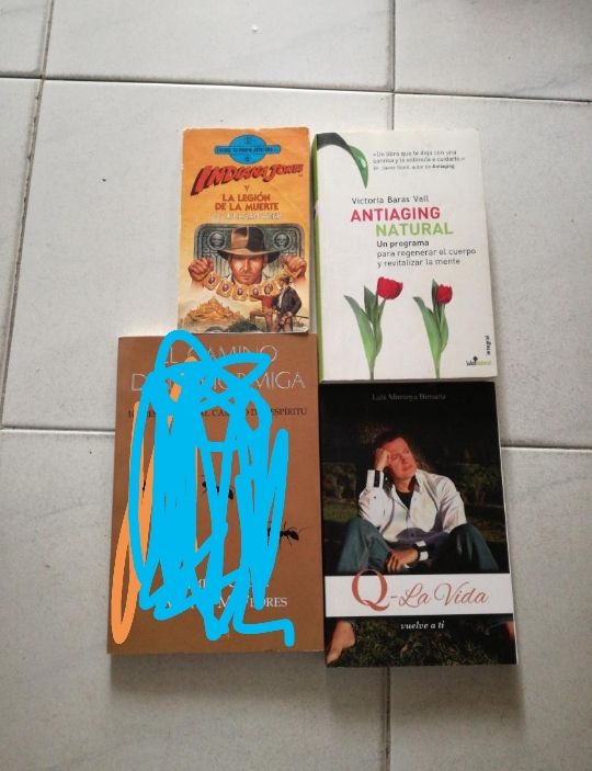 NO A 1€ variados novela psicosis 2 II Robert bloch