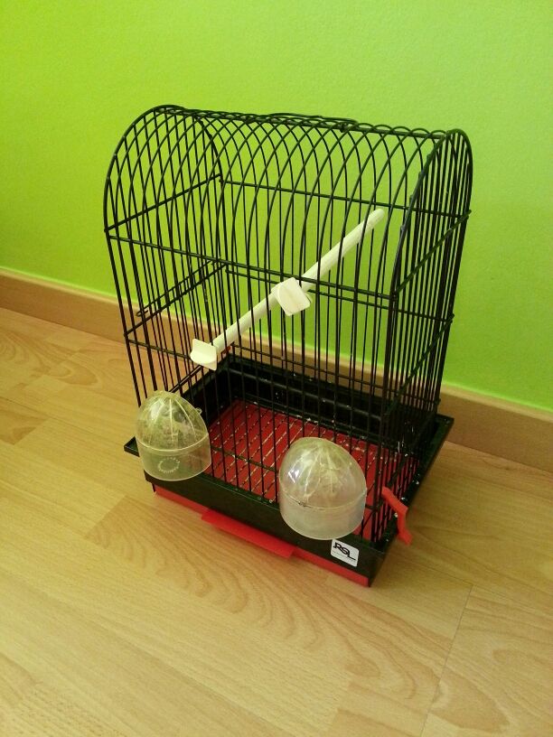 Jaula pajaro loro