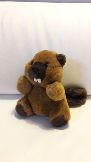 peluche castor ikea