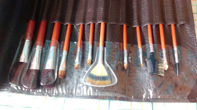 Estuche/set de pinceles profesionales a estrenar.
