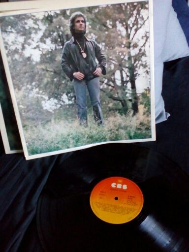 Disco vinilo Roberto Carlos