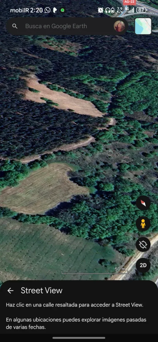 Finca al lado vía pecuaria Autovía Lugo-Monforte