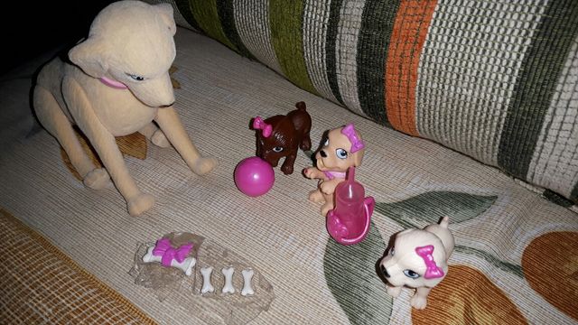 Perros barbie