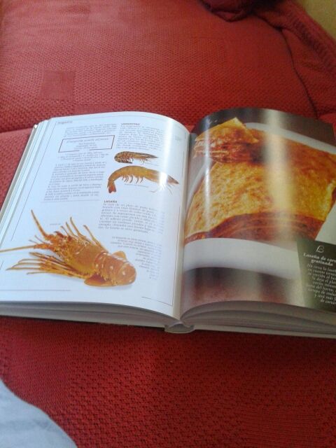 Libro de cocina