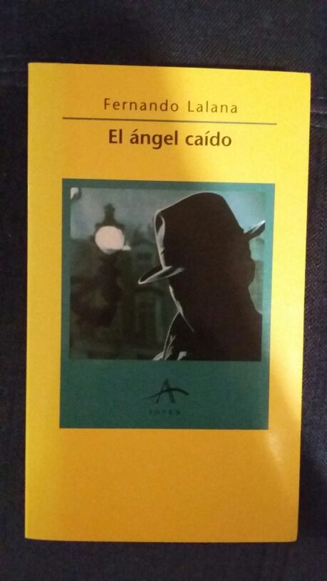 Novela libro El ángel caido
