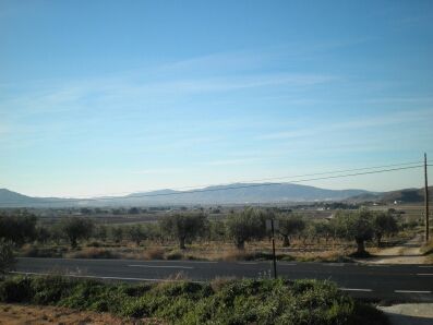 se vende terreno con olivos en cta. Villena-Cañada