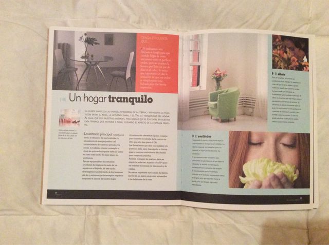 Libro: Vida Sana. Feng Shui