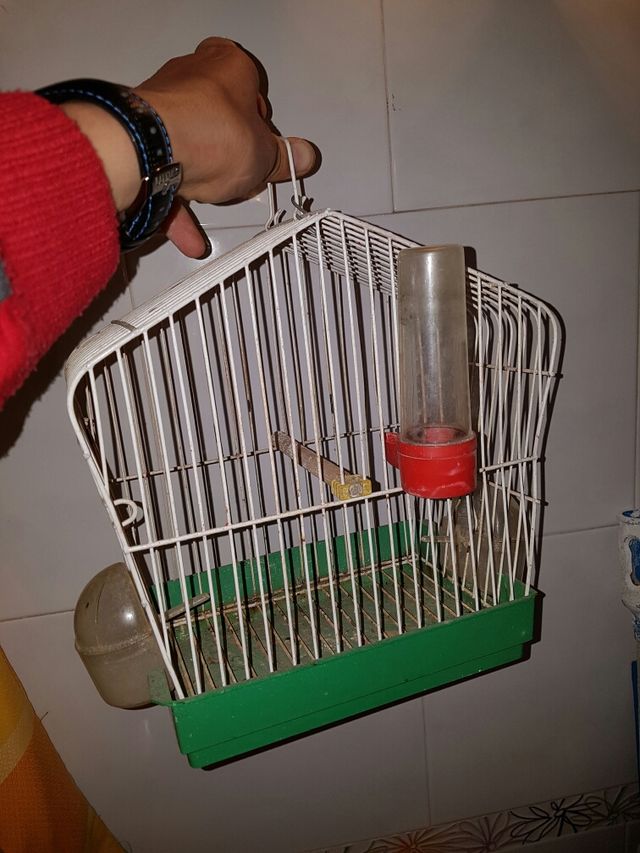 Jaula para canario