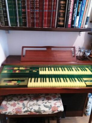 Organo elettrico Lowrey modello Super Genie