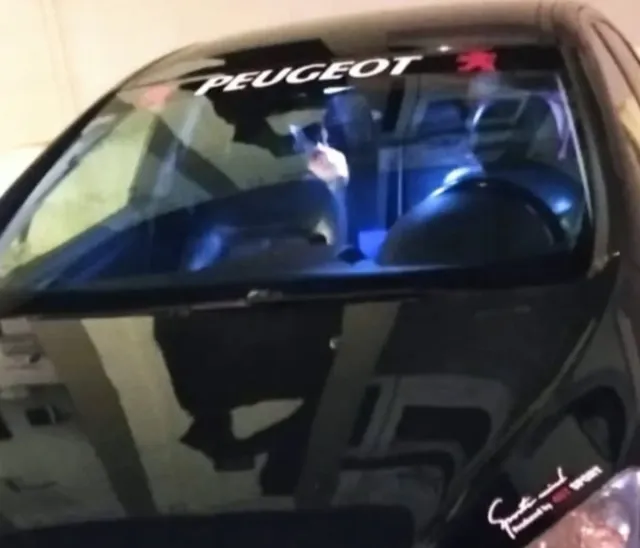 pegatinas peugeot