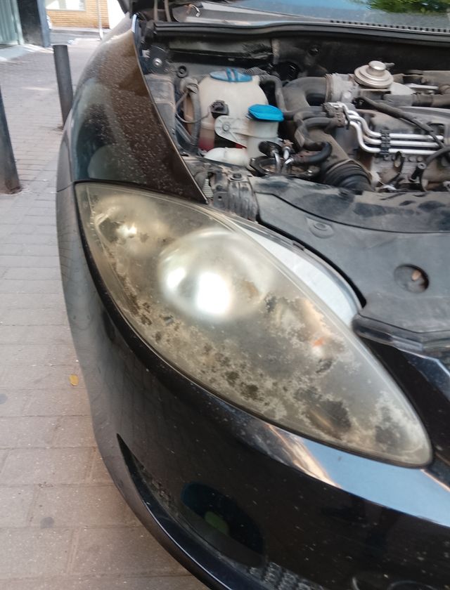 profecional  pule faro a domicilio