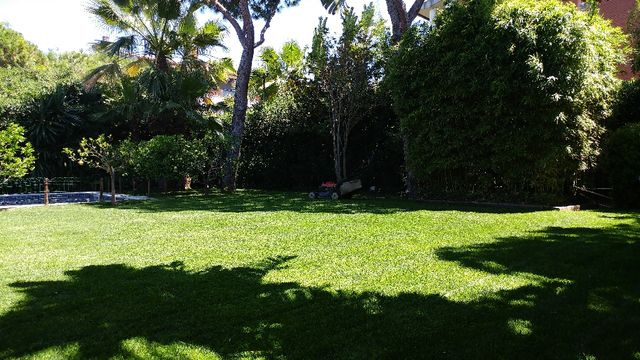 Césped natural en Sant Quirze del Vallès en WALLAPOP