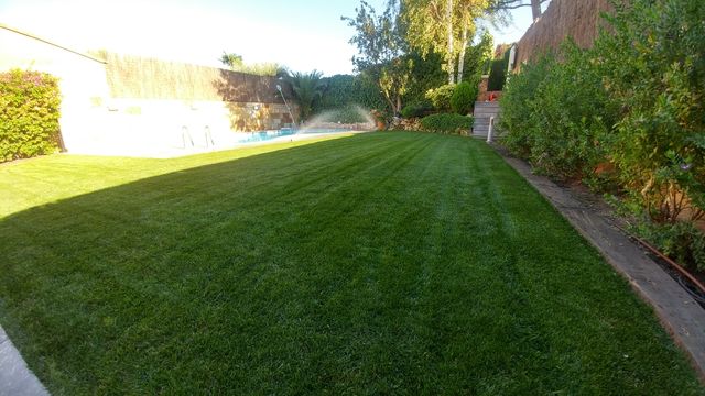 Césped natural en Sant Quirze del Vallès en WALLAPOP