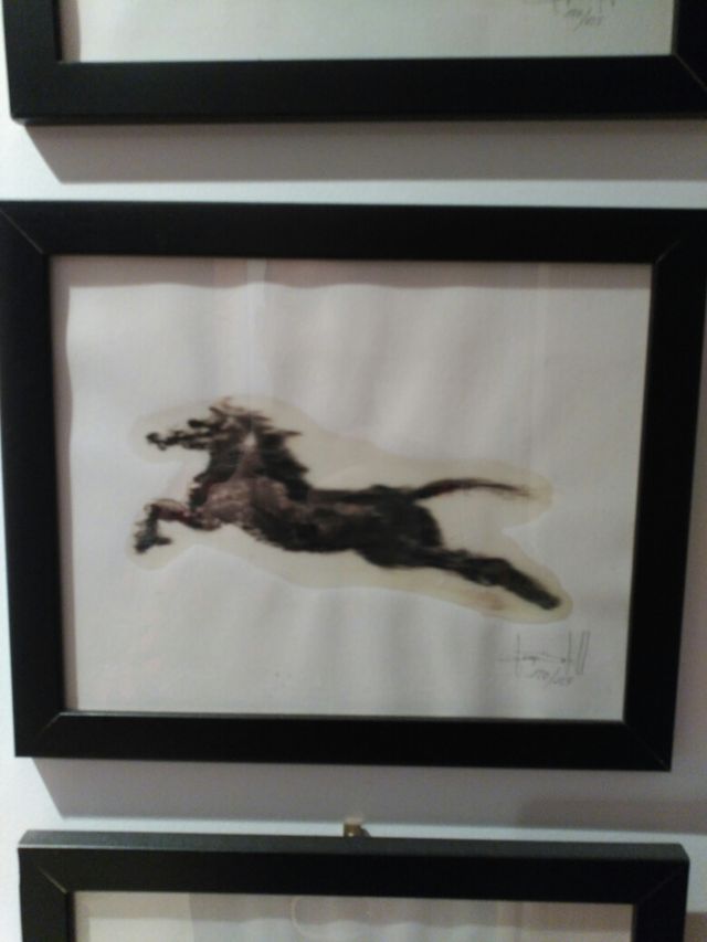 coleccion laminas caballos