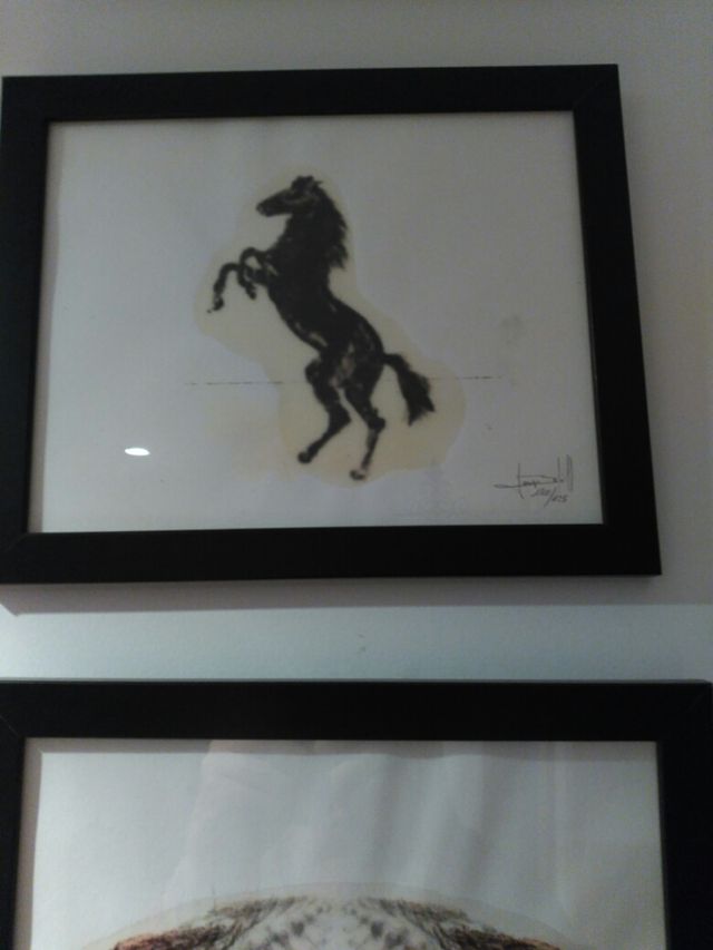 coleccion laminas caballos