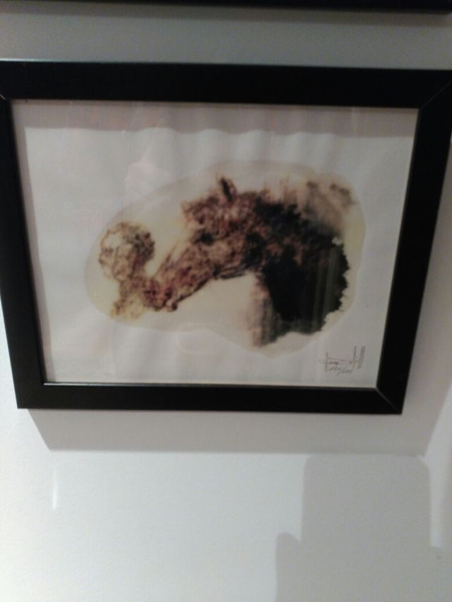 coleccion laminas caballos