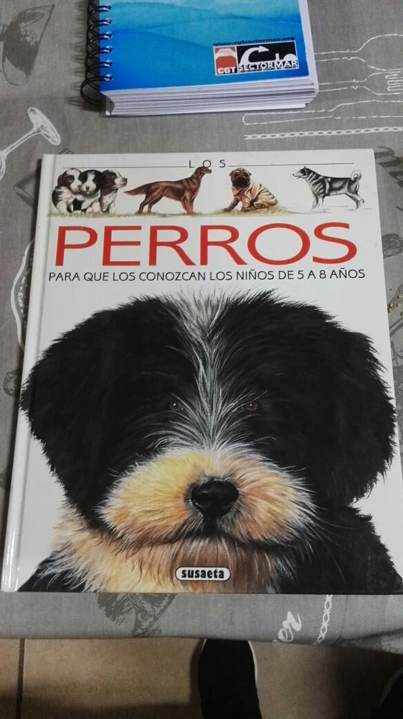 los perros