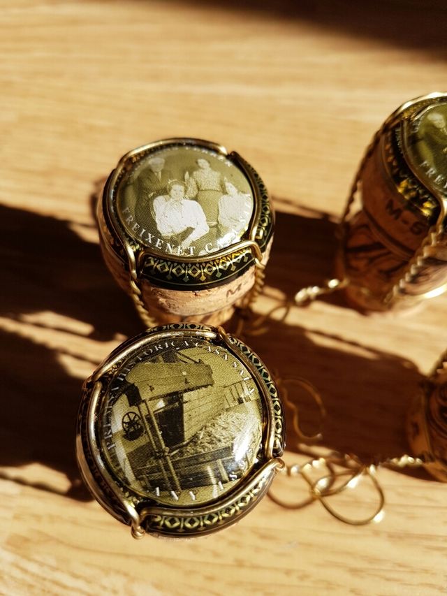 Cha placa cava Freixenet. Casa Sala