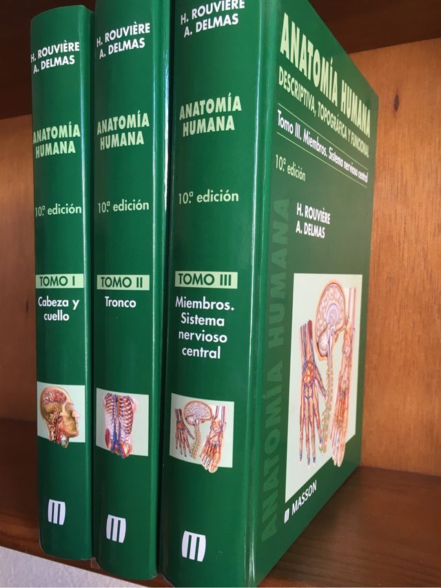 Confezione Rouvière HUMAN ANATOMY