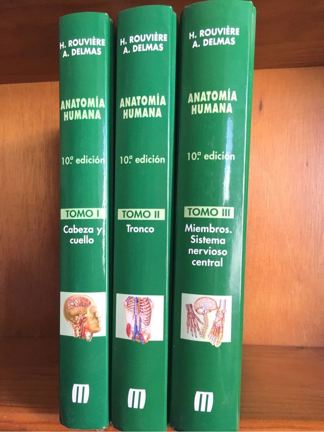 Confezione Rouvière HUMAN ANATOMY