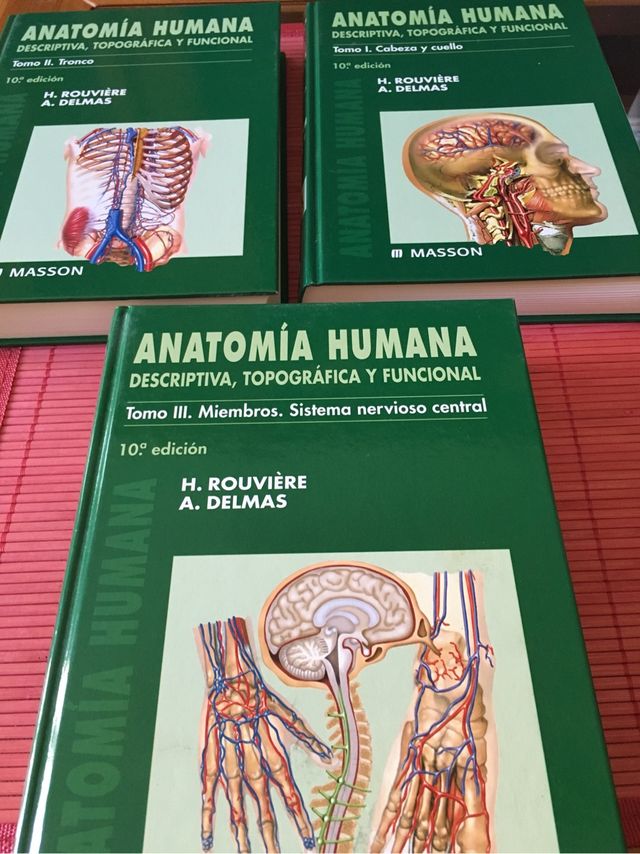Confezione Rouvière HUMAN ANATOMY
