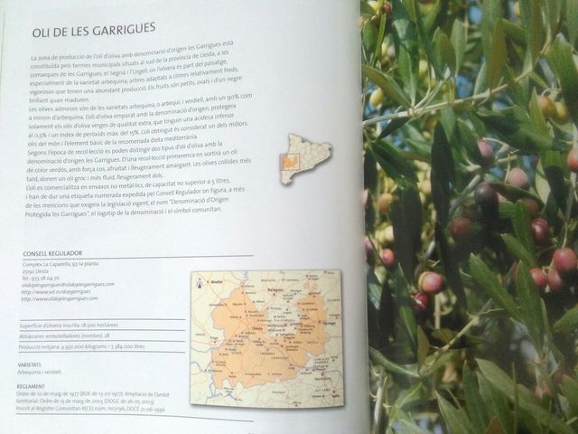 Libros Catalunya Montserrat Camino de Santiago