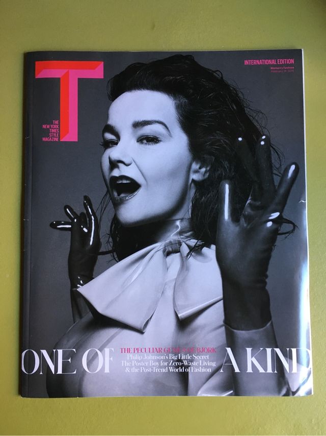 Björk NewYorkTimes revista