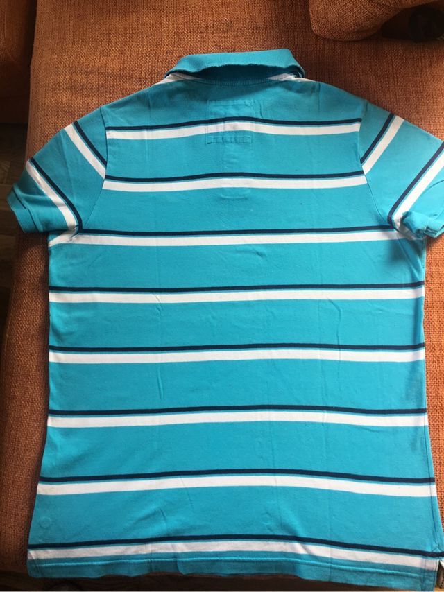 Polo caballero Hollister