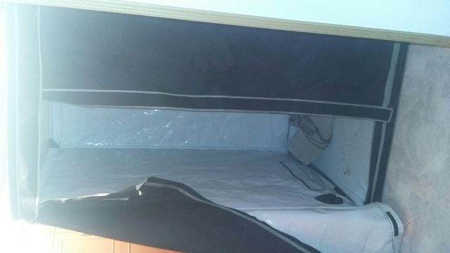 armario cultivo  indoor