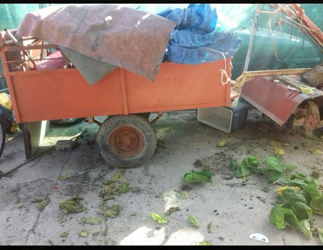 mula pascuali con remolque muy potente