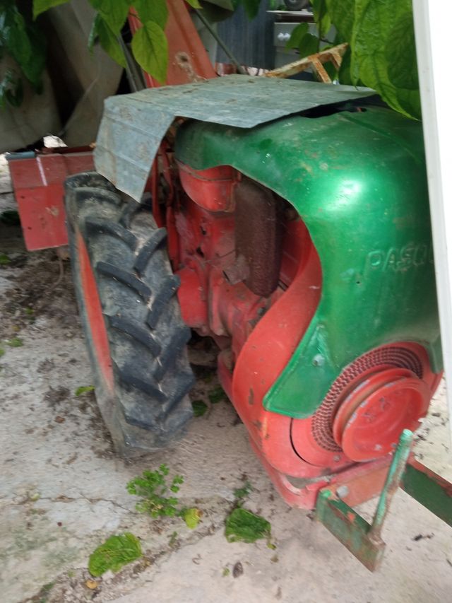 mula pascuali con remolque muy potente