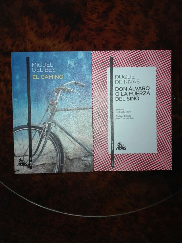 Libro lectura