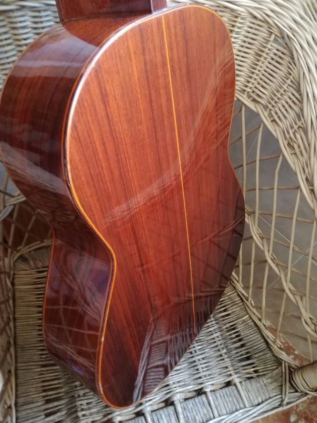 Guitarra Admira Elvira palosanto