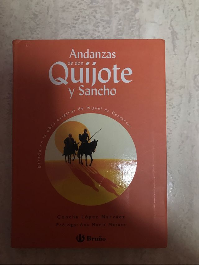 Andanzas de don quijote
