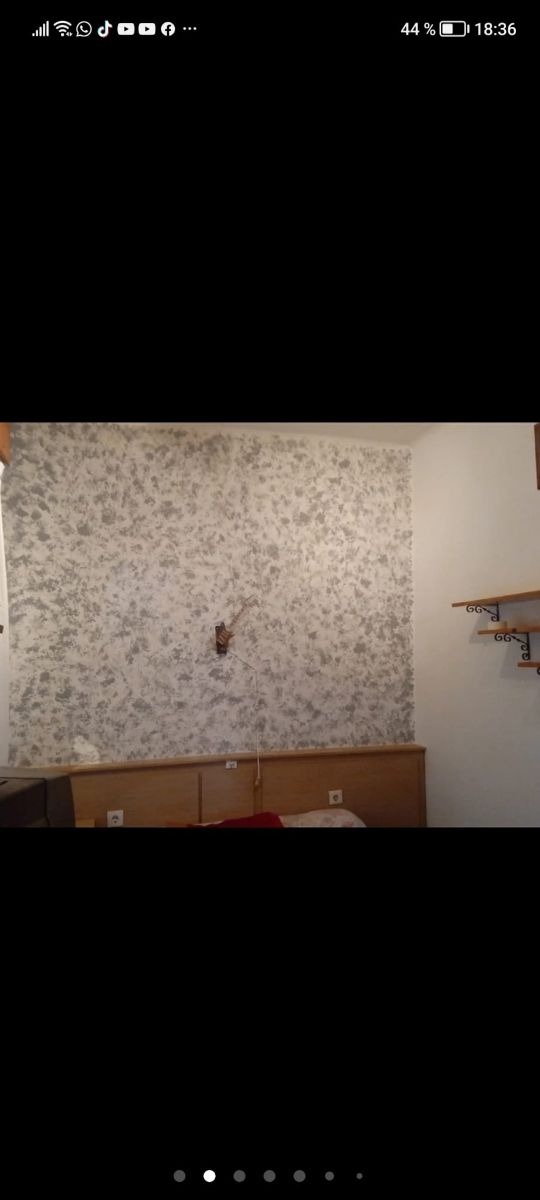 PINTOR PINTURA ECONOMICO