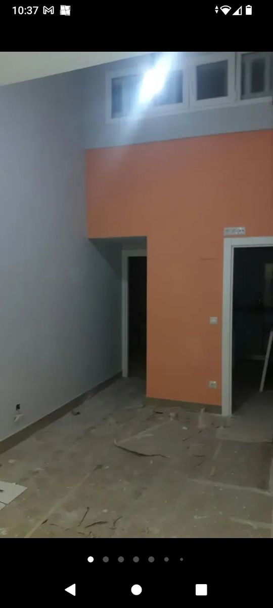 PINTOR PINTURA ECONOMICO