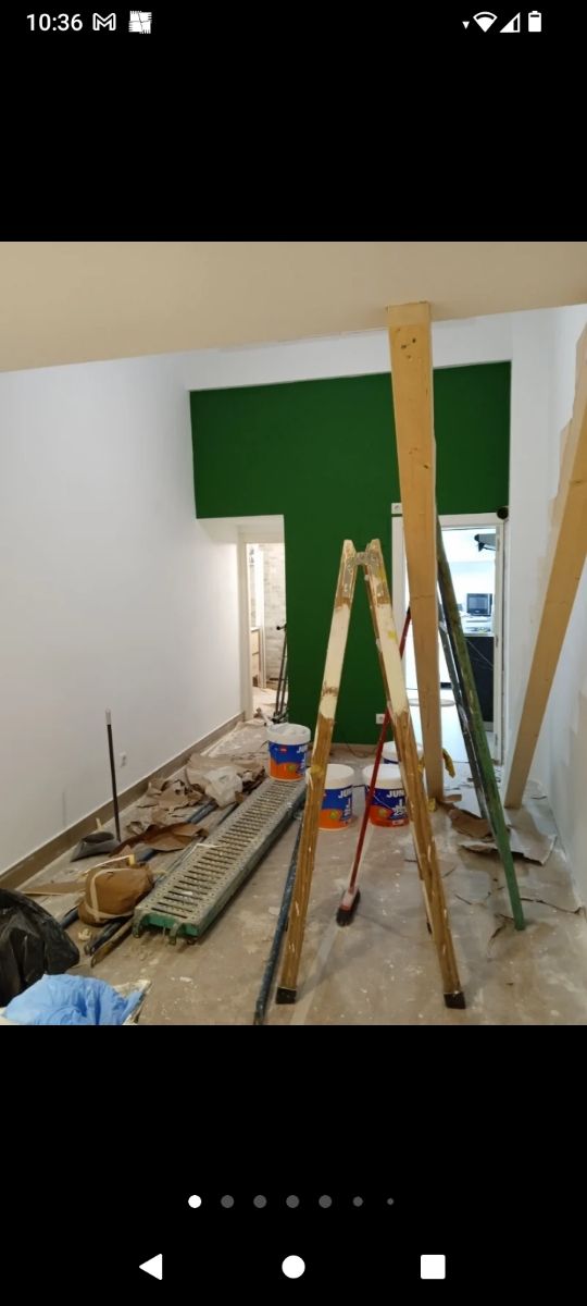 PINTOR PINTURA ECONOMICO