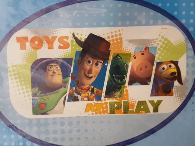 cortinillas luna trasera.