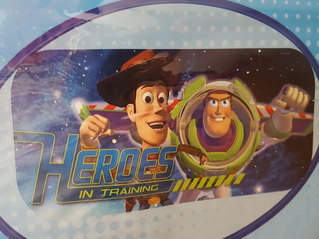 cortinillas luna trasera.