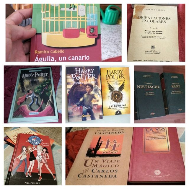 NO SON A 1€ Libros Y OTROS borrás cristal andreu