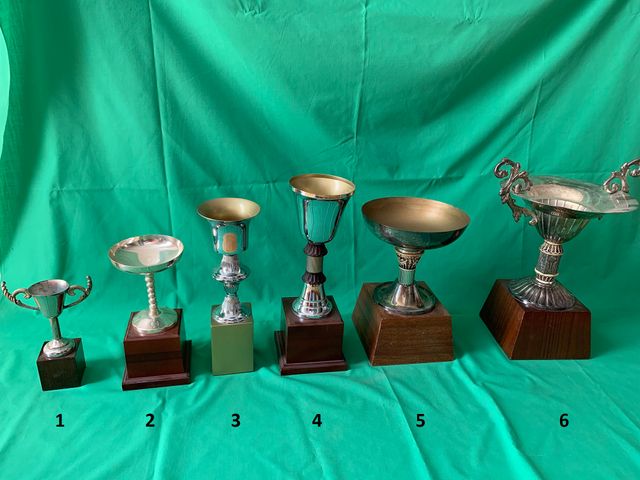 Trofeos, copas, medallas