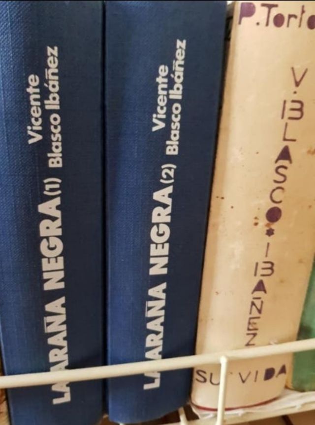 Vicente Blasco Ibañez, ver descripción