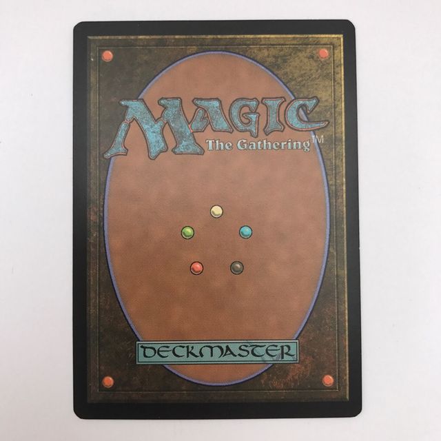 ⚫️⚪️ MTG - Fetid Heath