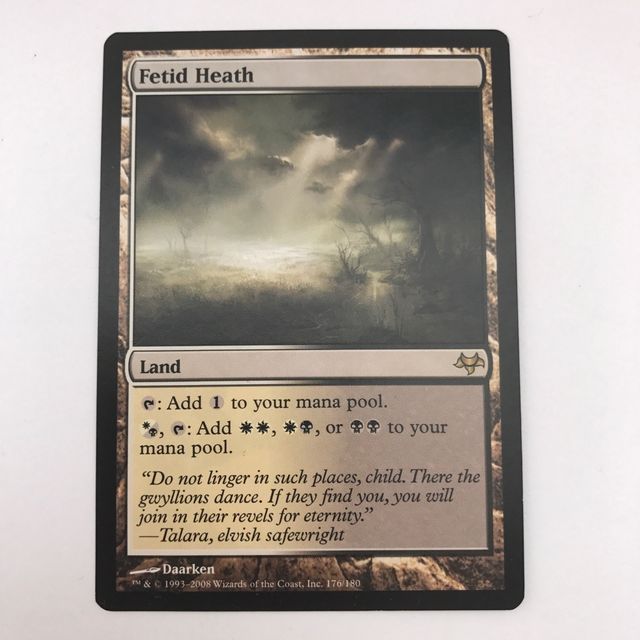 ⚫️⚪️ MTG - Fetid Heath