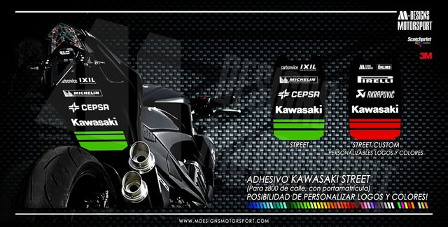 Decoracion para paso de rueda STREET KAWASAKI Z800
