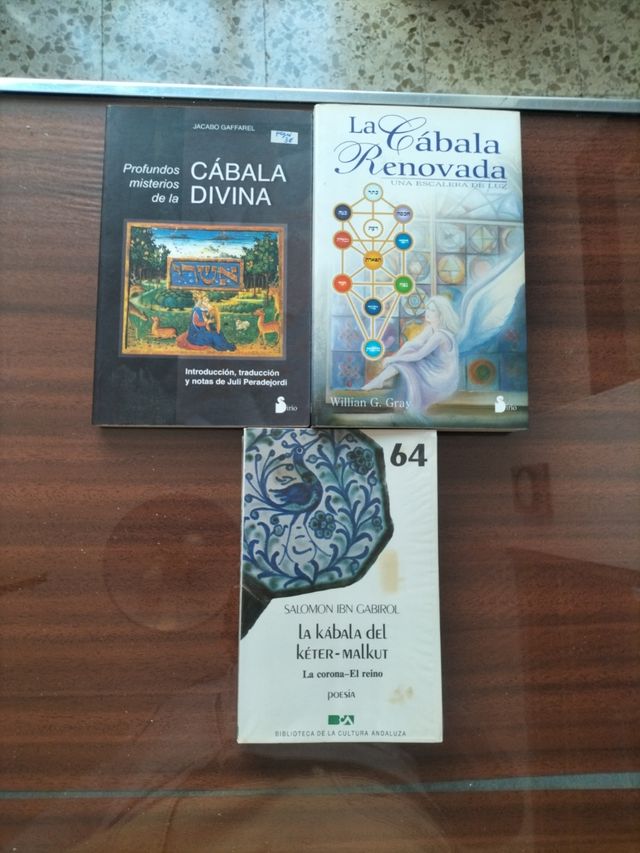 NO A 1€ + en texto que en foto - libros Teresa 